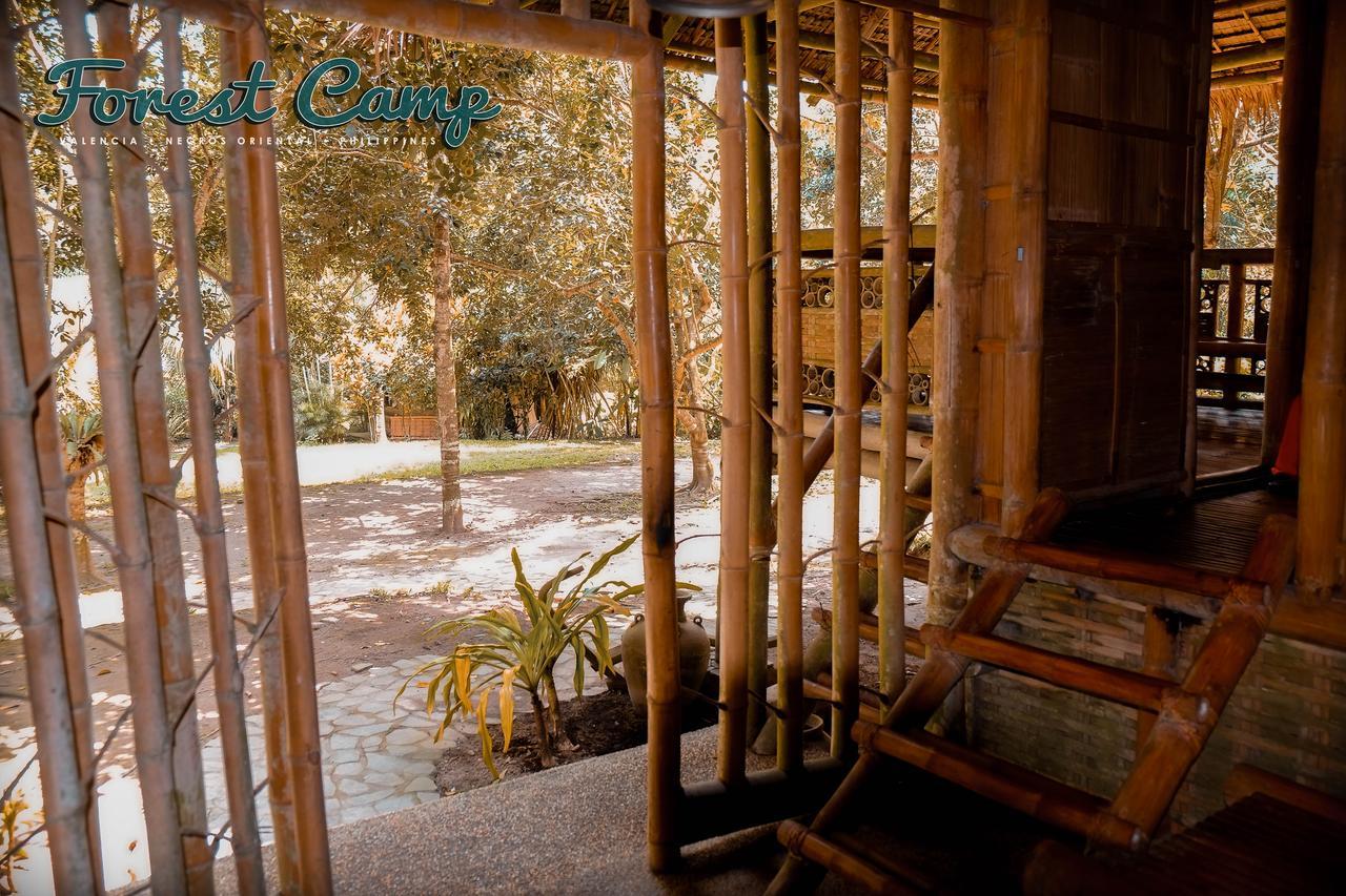 Forest Camp Resort Valencia  Kültér fotó
