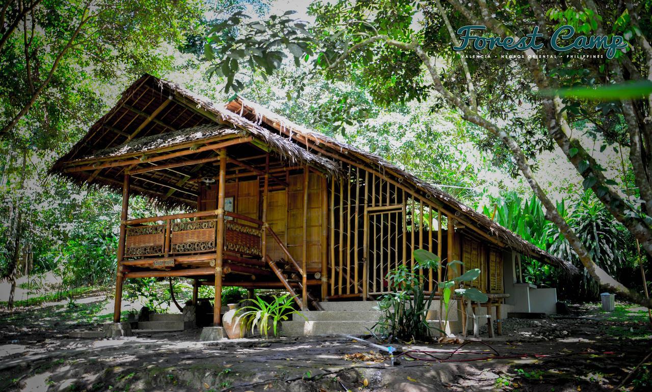 Forest Camp Resort Valencia  Kültér fotó